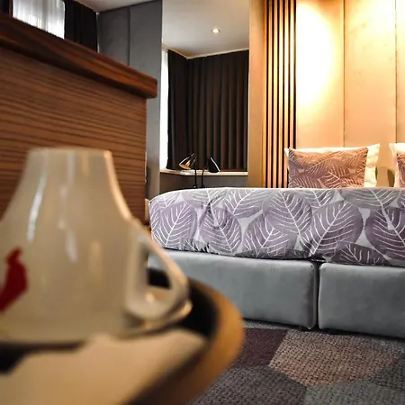 View Deluxe فندق 4*